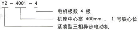 YR系列(H355-1000)高压YRKK630-12三相异步电机西安西玛电机型号说明